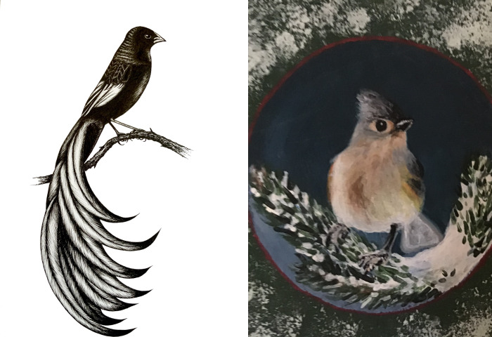 Hey Pandas, Draw A Bird And Post It Here (Closed)