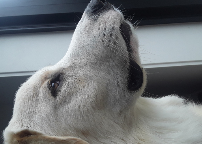 Hey Pandas, Post A Random Photo From Your Camera Roll (Closed)