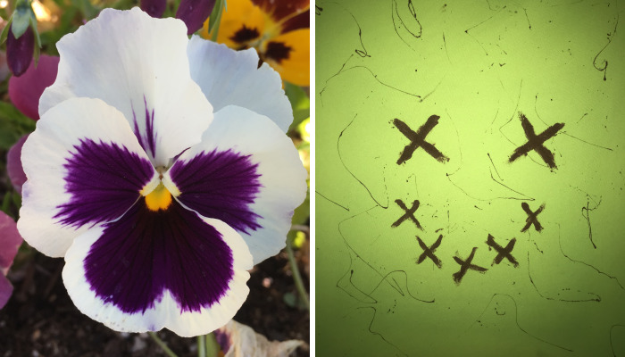 Hey Pandas, Post Your Favorite Picture In Your Camera Roll (Closed)