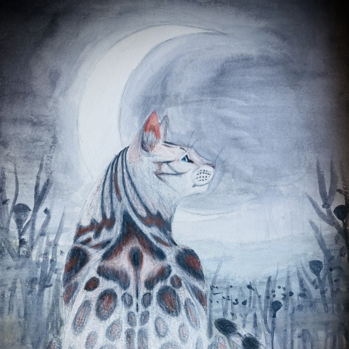 Hey Pandas, Draw A Cat