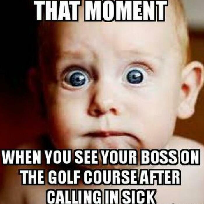 Hey Pandas, What Is The Funniest Thing On Your Camera Roll In The Past Month? (Closed)