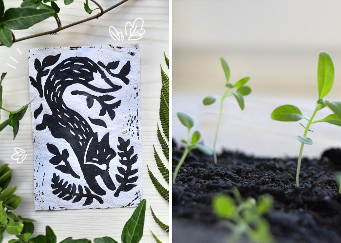 I Turn Old Paper Scraps Into Art That Grows When Planted In Soil