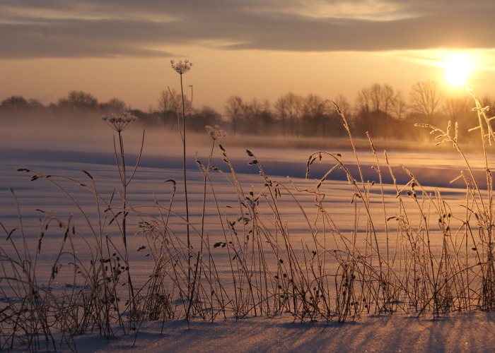 Hey Pandas, Show Me The Most Magical Or Unreal Photo On Your Camera Roll (Closed)