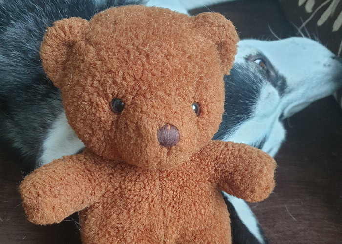 Hey Pandas, Share Your Family’s Most Cherished Heirloom (Closed)