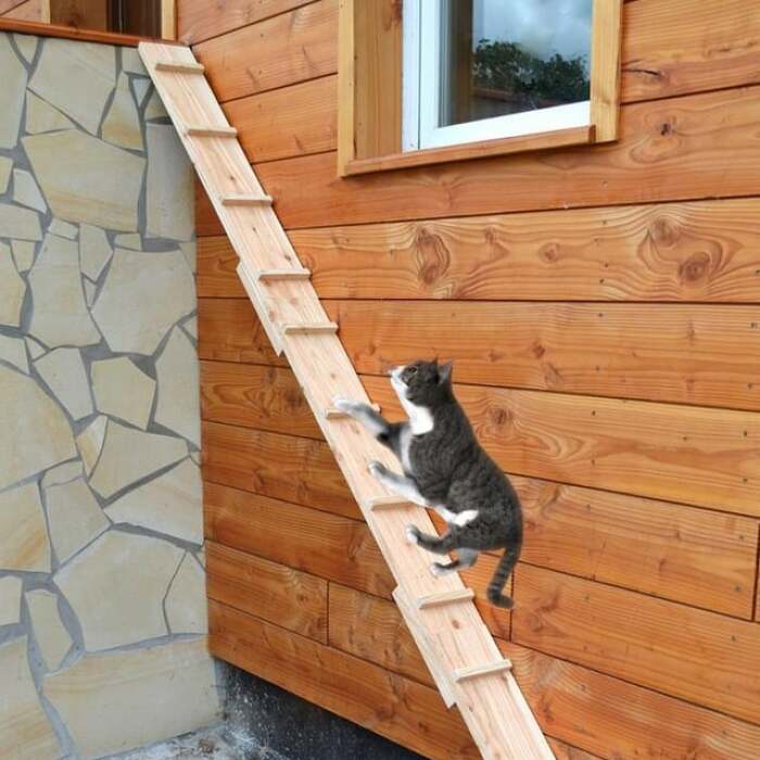 Hey Pandas, Post The Weirdest Photoshopped Picture You Have Ever Seen