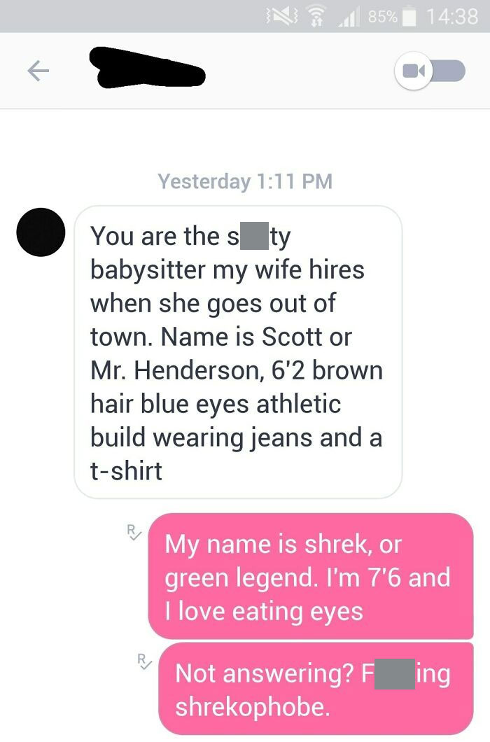 Smh, Who Wouldn't Date Shrek?