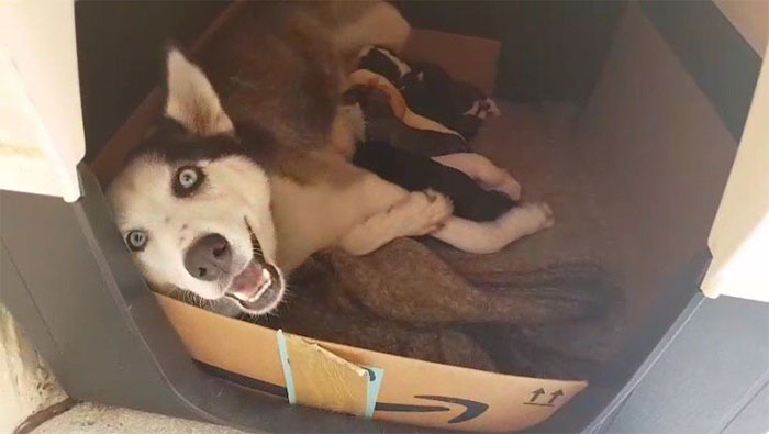 Happy And Proud First Time Mom Of 8