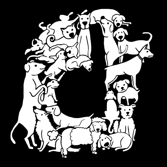 D For Dog