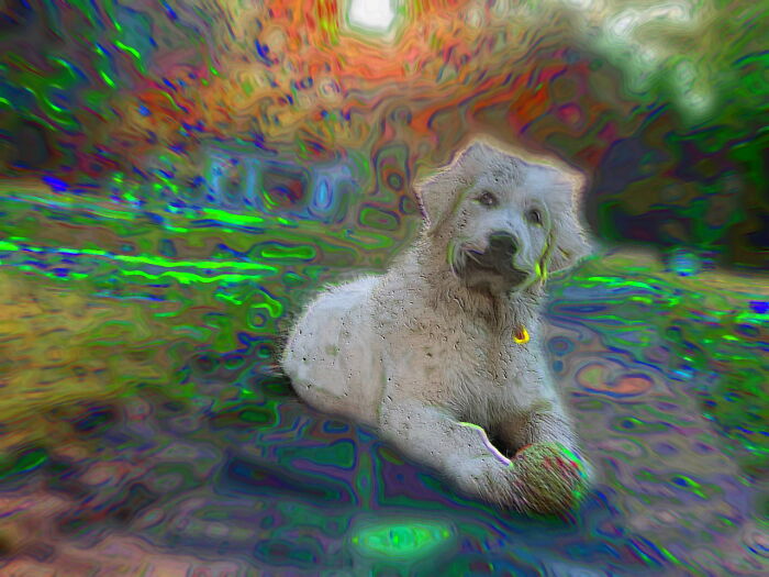 I Don't Know Of What Edibles Are You Talking About...