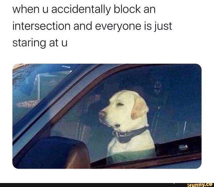 Car On Ramp Meme Best Car Memes To Laugh At When You're Stuck In Traffic | Bored Panda