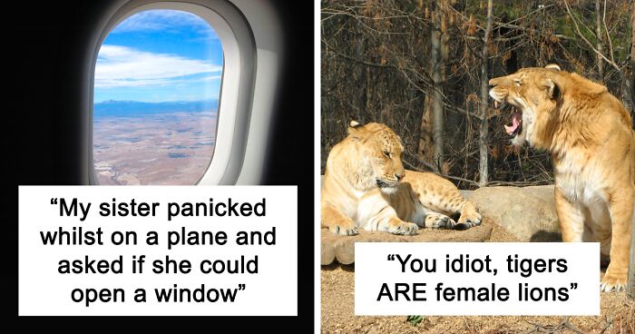 50 Of The Dumbest Things People Have Overheard Someone Say