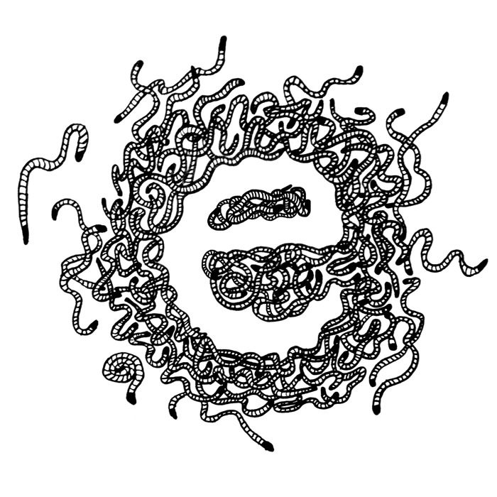 E For Earthworm