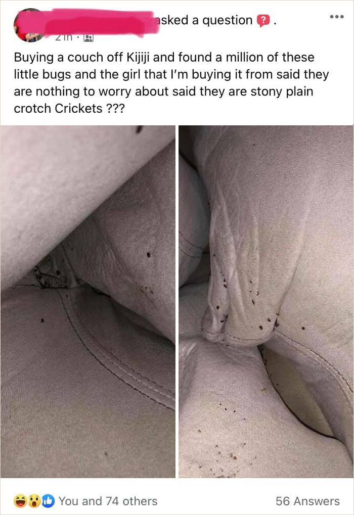 Facebook-Marketplace-Selling-Strange-Things