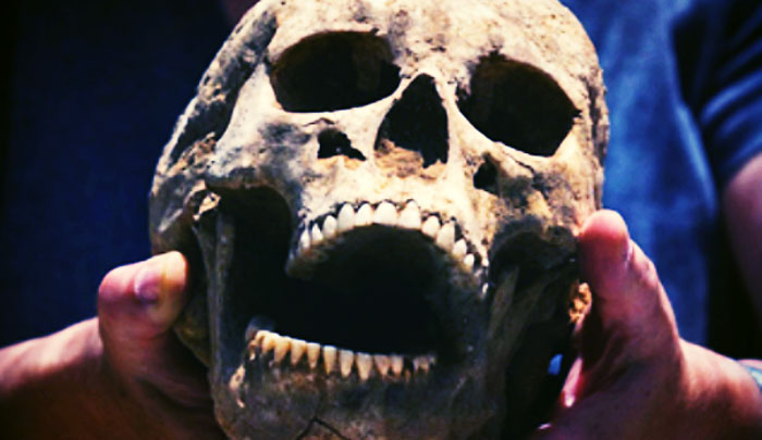 50 Interesting Things People Didn’t Learn At School And Decided To Share Them In This Online Group (New Pics)