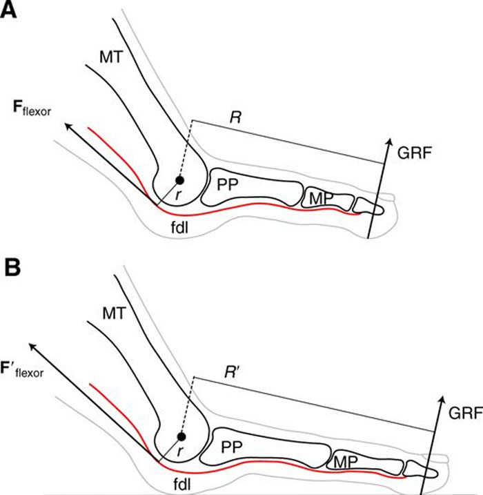50 Interesting Things People Didn’t Learn At School And Decided To Share Them In This Online Group (New Pics)