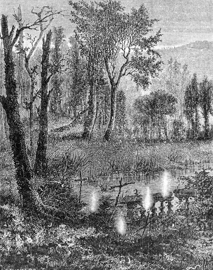 Corpse Candles Were In Fact Luminescent Barn Owls That Had Fungus Growing On Them, Or, More Likely, Methane Gas