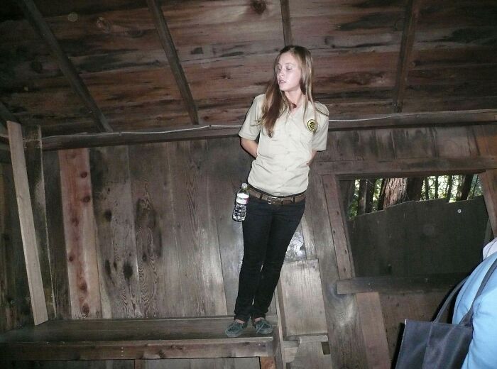 Gravity-Defying 'Mystery Spot' Attractions Are Usually Built On A Slant, Messing With Peoples’ Perceptions Of The Horizon