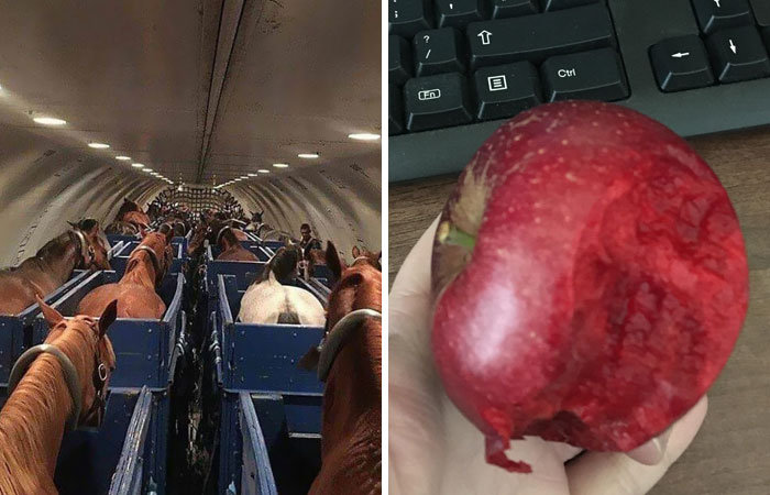 50 Raras fotos que revelan el lado oculto de las cosas (nuevas imágenes)