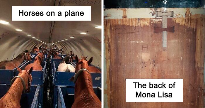 50 Rare Photos That Reveal The Unseen Side Of Things (New Pics)