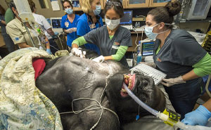 48 Rare Photos That Reveal The Unseen Side Of Things (New Pics)