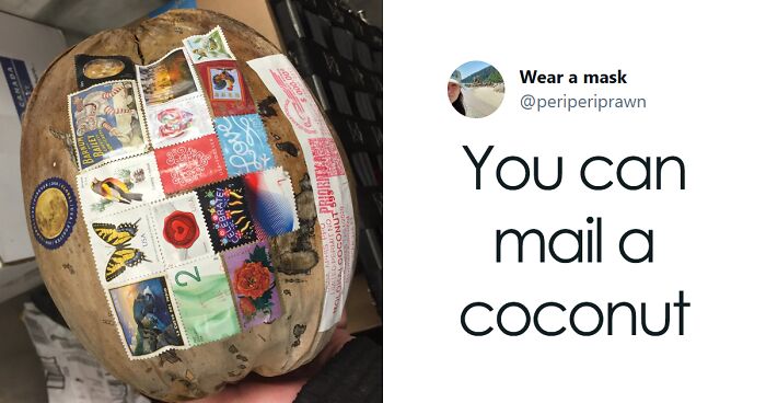 Dad Asks The Internet What Interesting Facts They Know So He Could Tell Them To His 2 Kids, Receives 40 Answers