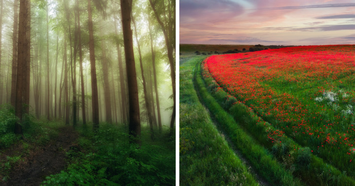 This Is How Spring Looks Like In Romania In My 21 Photos