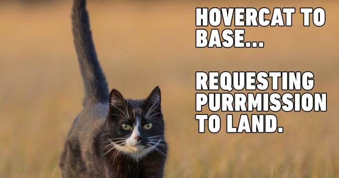 Hey Pandas, Post Your Favorite Animal Meme (Closed)