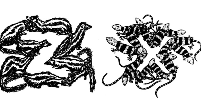 I Illustrated An Entire Alphabet Of Creatures (26 Pics)