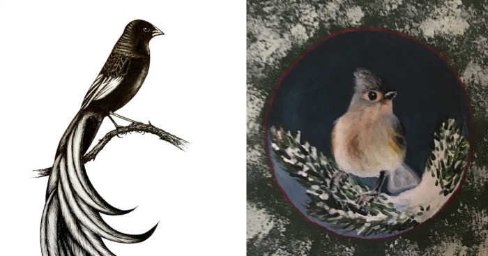 Hey Pandas, Draw A Bird And Post It Here (Closed)