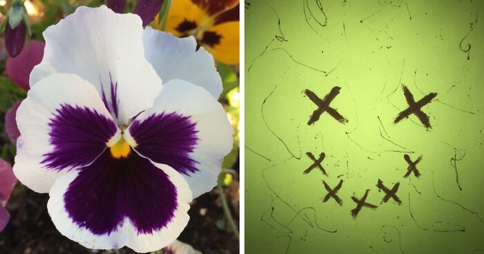 Hey Pandas, Post Your Favorite Picture In Your Camera Roll (Closed)