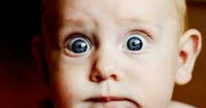 Hey Pandas, What Is The Funniest Thing On Your Camera Roll In The Past Month? (Closed)