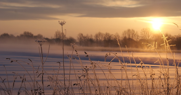 Hey Pandas, Show Me The Most Magical Or Unreal Photo On Your Camera Roll (Closed)