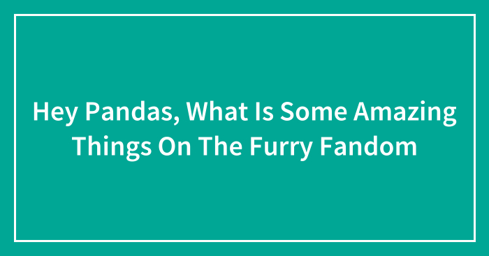 Hey Pandas, What Is Some Amazing Things On The Furry Fandom