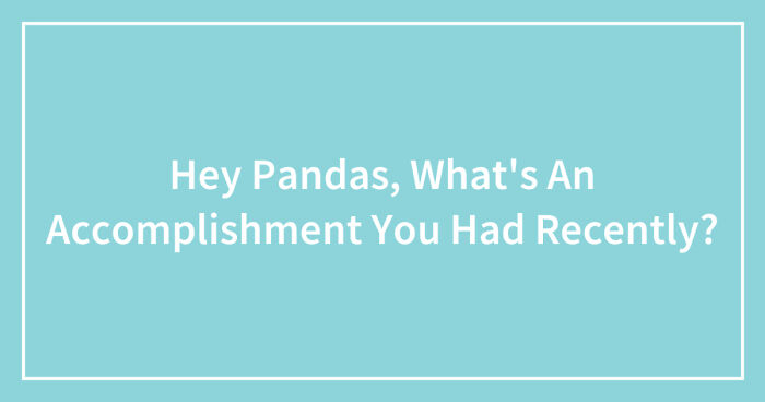 Hey Pandas, What’s An Accomplishment You Had Recently? (Closed)