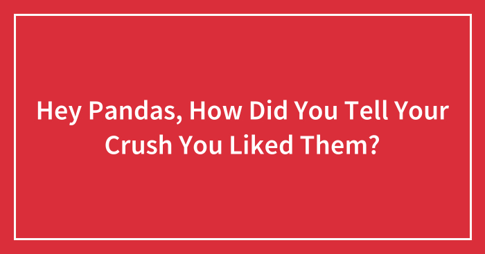 Hey Pandas, How Did You Tell Your Crush You Liked Them? (Closed)
