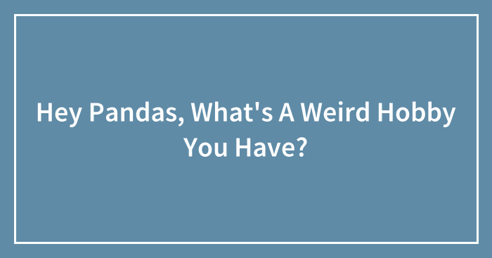 Hey Pandas, What’s A Weird Hobby You Have? (Closed)
