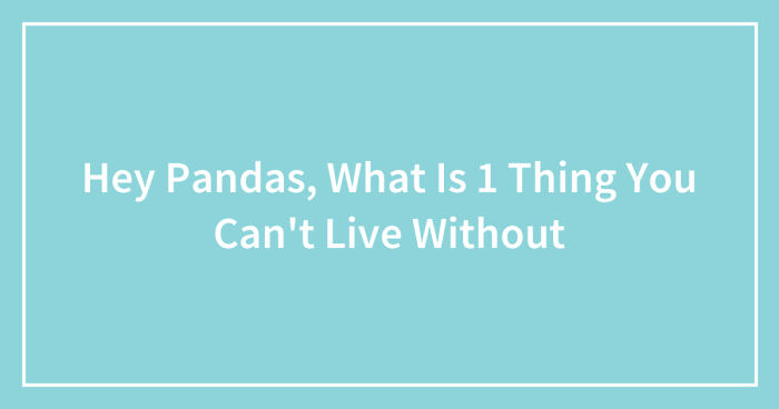 Hey Pandas, What Is One Thing You Can’t Live Without (Closed)