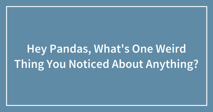 Hey Pandas, What’s One Weird Thing You Noticed About Anything? (Closed)