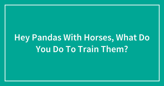 Hey Pandas With Horses, What Do You Do To Train Them? (Closed)