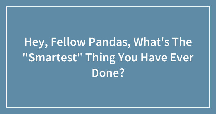 Hey, Fellow Pandas, What’s The “Smartest” Thing You Have Ever Done? (Closed)