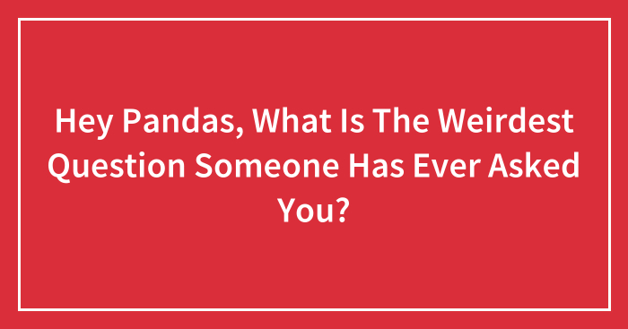 Hey Pandas, What Is The Weirdest Question Someone Has Ever Asked You? (Closed)