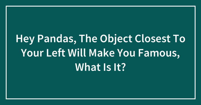 Hey Pandas, The Object Closest To Your Left Will Make You Famous, What Is It?