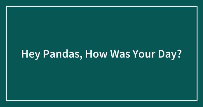 Hey Pandas, How Was Your Day? (Closed)