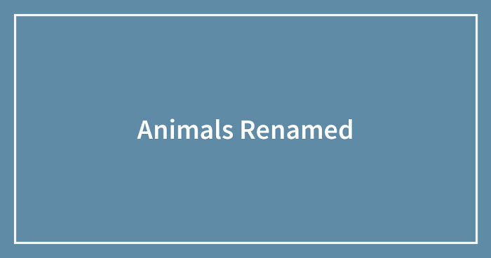 Hey Pandas, Have You Or Someone You Know Called An Animal The Wrong Name? (Closed)