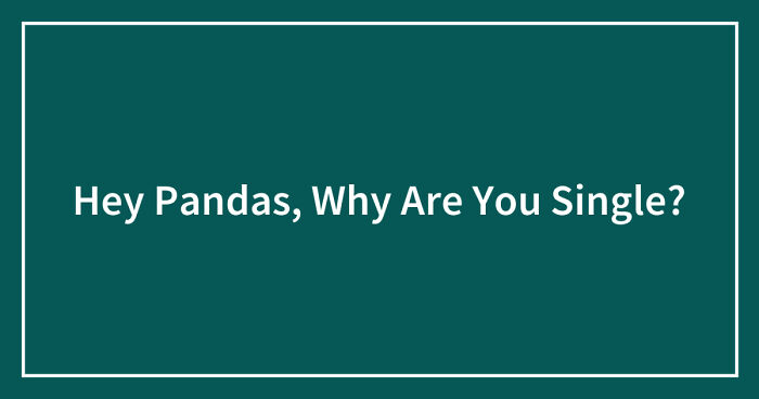 Hey Pandas, Why Are You Single? (Closed)