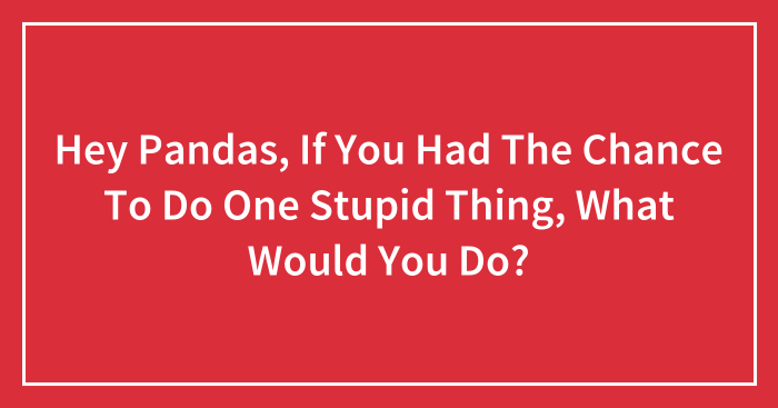 Hey Pandas, If You Had The Chance To Do One Stupid Thing, What Would You Do? (Closed)