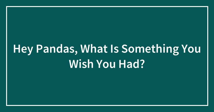 Hey Pandas, What Is Something You Wish You Had? (Closed)