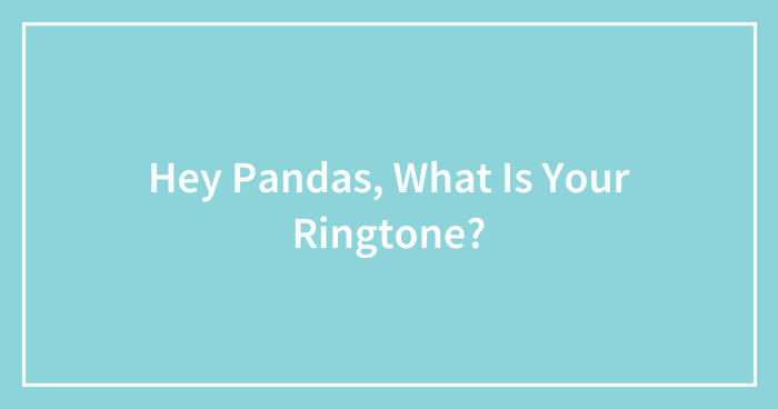 Hey Pandas, What Is Your Ringtone? (Closed)