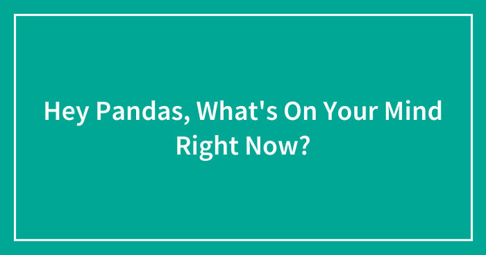 Hey Pandas, What’s On Your Mind Right Now? (Closed)