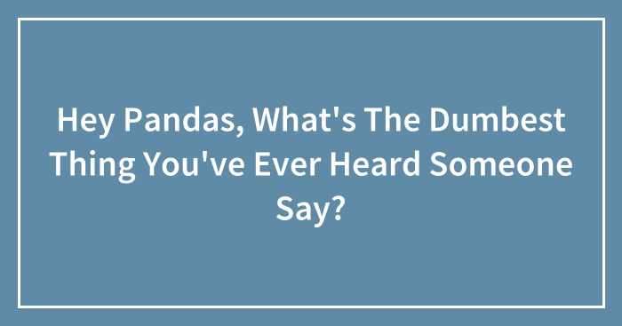 Hey Pandas, What’s The Dumbest Thing You’ve Ever Heard Someone Say?